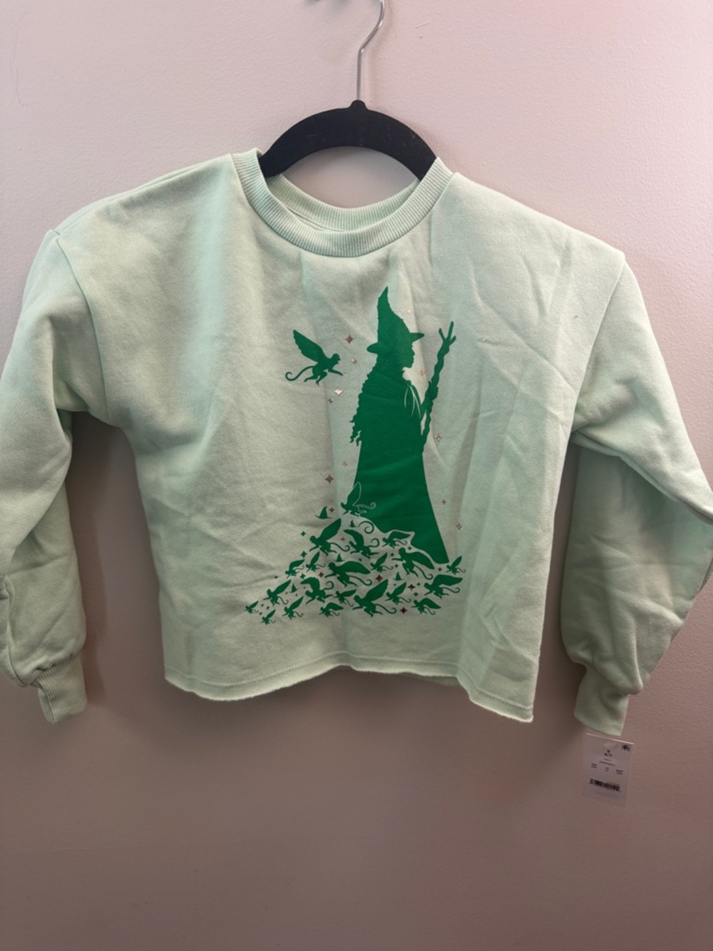 NWT Wicked Elphaba Sweatshirt